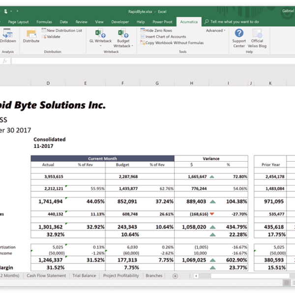 Excel-Based Reporting for Acumatica